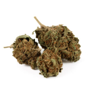 Orange Cookies Outdoor